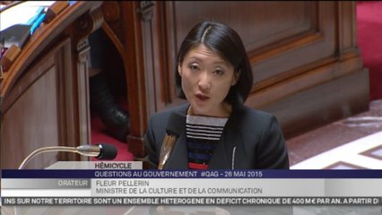 Vente de la chaîne Numéro 23 : "La spéculation met clairement à mal la création", assure Fleur Pellerin