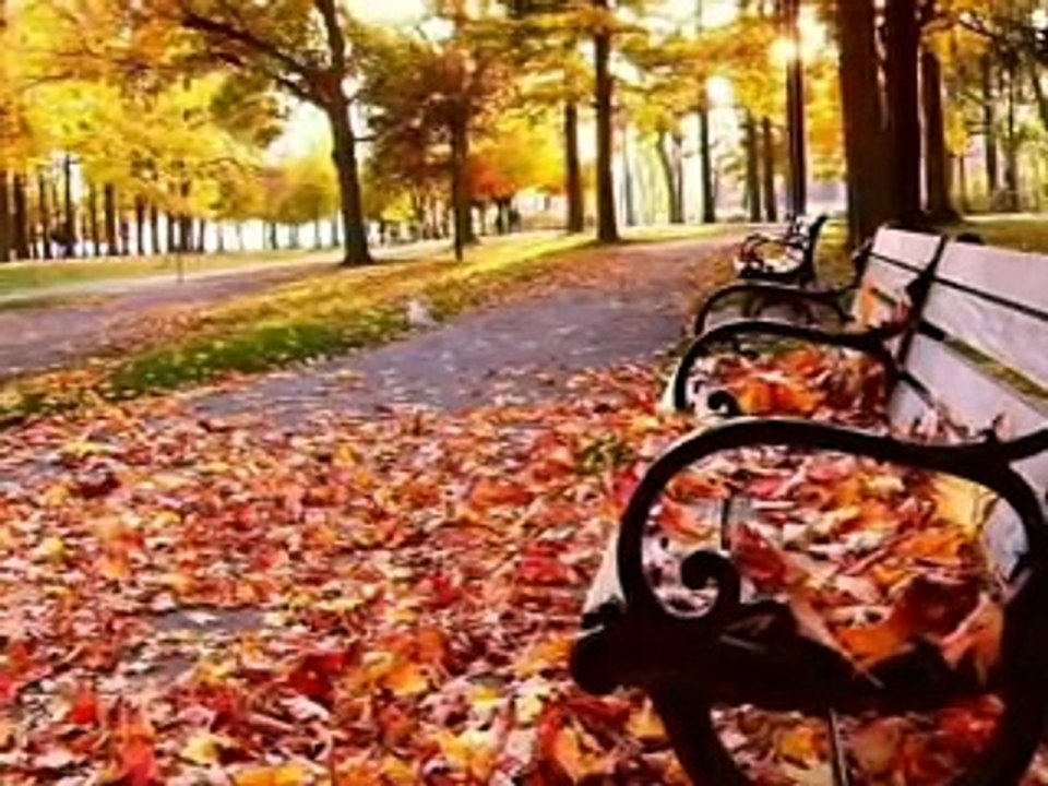 Lionel Richie - Still