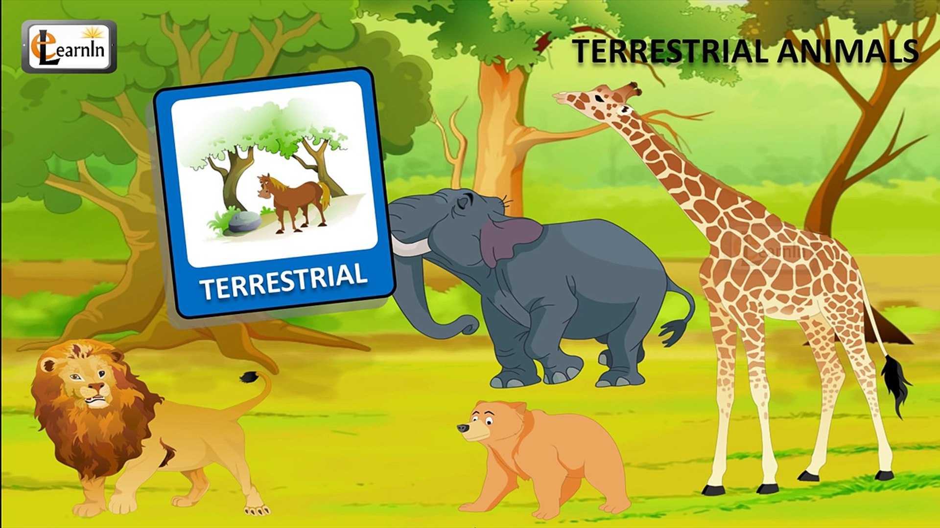 Terrestrial animals list | Animals on Land | Kindergarten learning videos  playlist - video Dailymotion