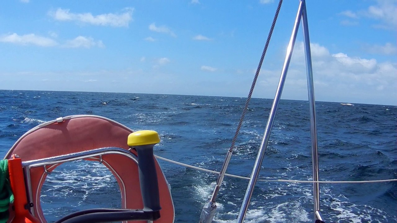 DSCN8433