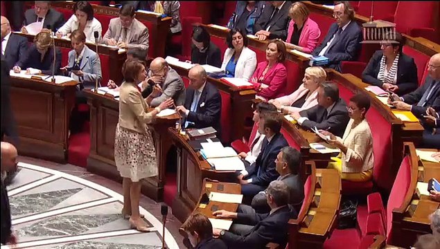 Réponse de Mme. Marisol Touraine à la question au gouvernement de M. Francis Vercamer concernant la prime d'activité.