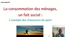 La consommation : l'exemple des chaussures de sport