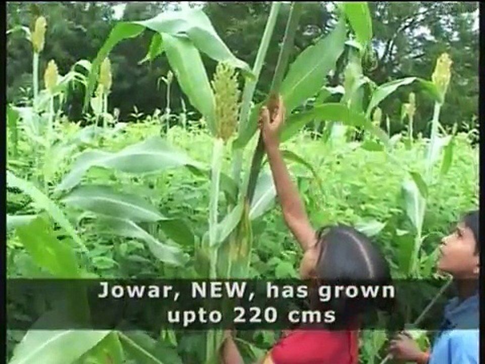 Naa Chenu, Naa Chaduvu - My Farm, My School.VOB