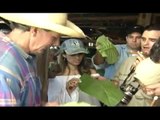 Finca Tabacalera - Viñales Cuba