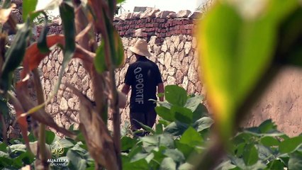 Kinezi očekuju izvinjenje Japana