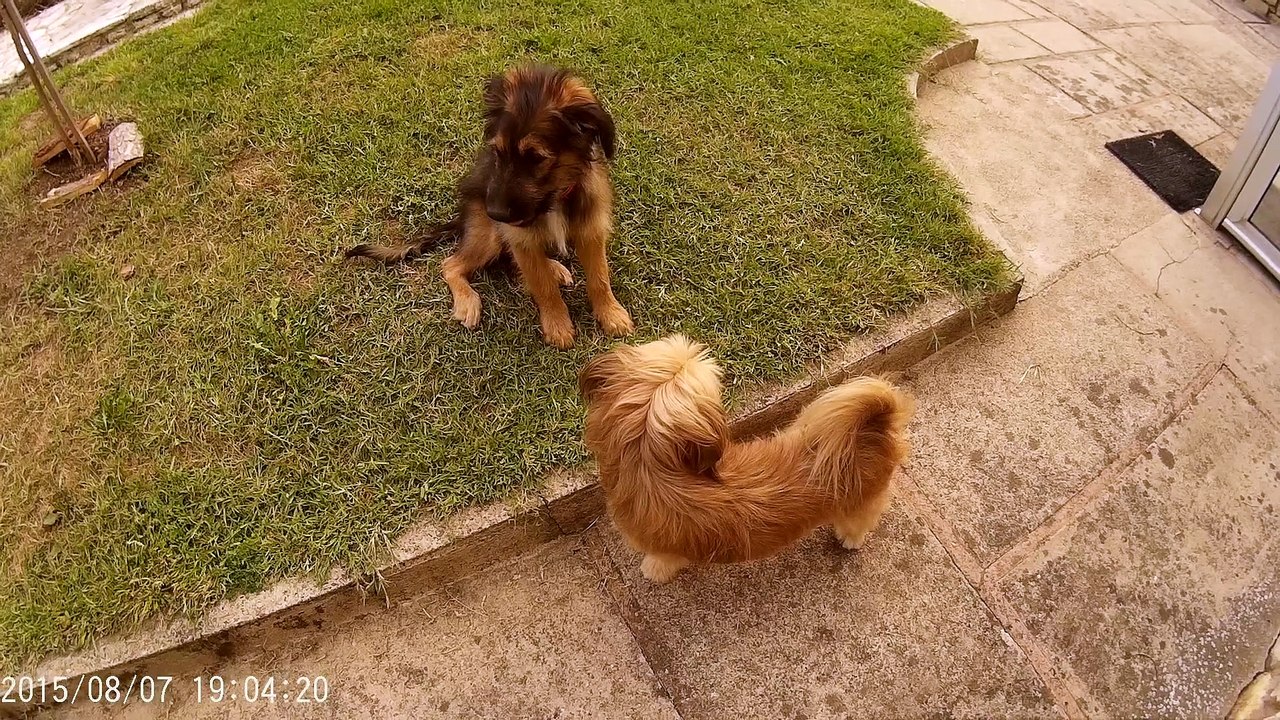 Sherif fait moi Peur !!!