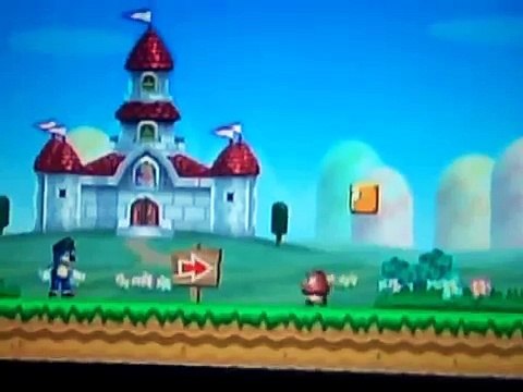 SONIC in New Super Mario Bros. wii (Gameplay) [custom character texture hack]