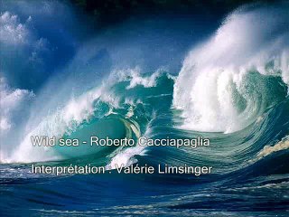 Wild sea - Roberto Cacciapaglia