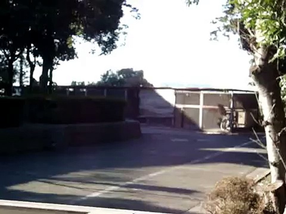 犬・猫最終地 東京都ペット殺処分場『城南島愛護センター（保健所）』