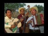 Los Alegres De Teran - Te Busque