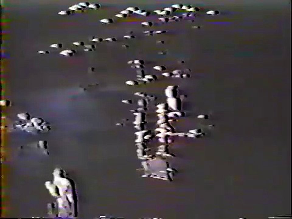 Cris Groenendaal - Music of the Night