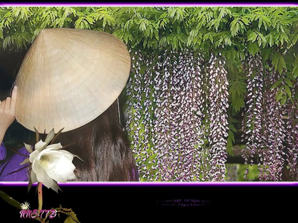 Chuyen Tinh Hoa Trang -Anh Bang -Nhu Quynh -NNS