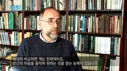 다큐 오늘 - 내 이름은 개