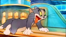 Tom and Jerry Cartoon   Tom And Jerry   The Bowling Alley Cat 1942