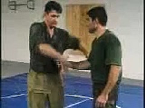 Systema Russian Martial Art Vladimir Vasiliev Gun Disarming