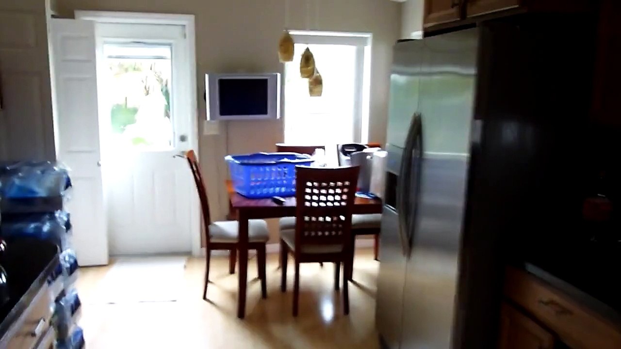Funny Territorial cat threatens intruder