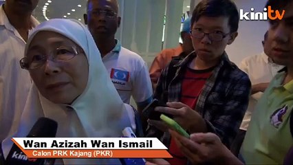 Wan Azizah flattered by 'more Chinese than Chew Mei Fun' leaflets