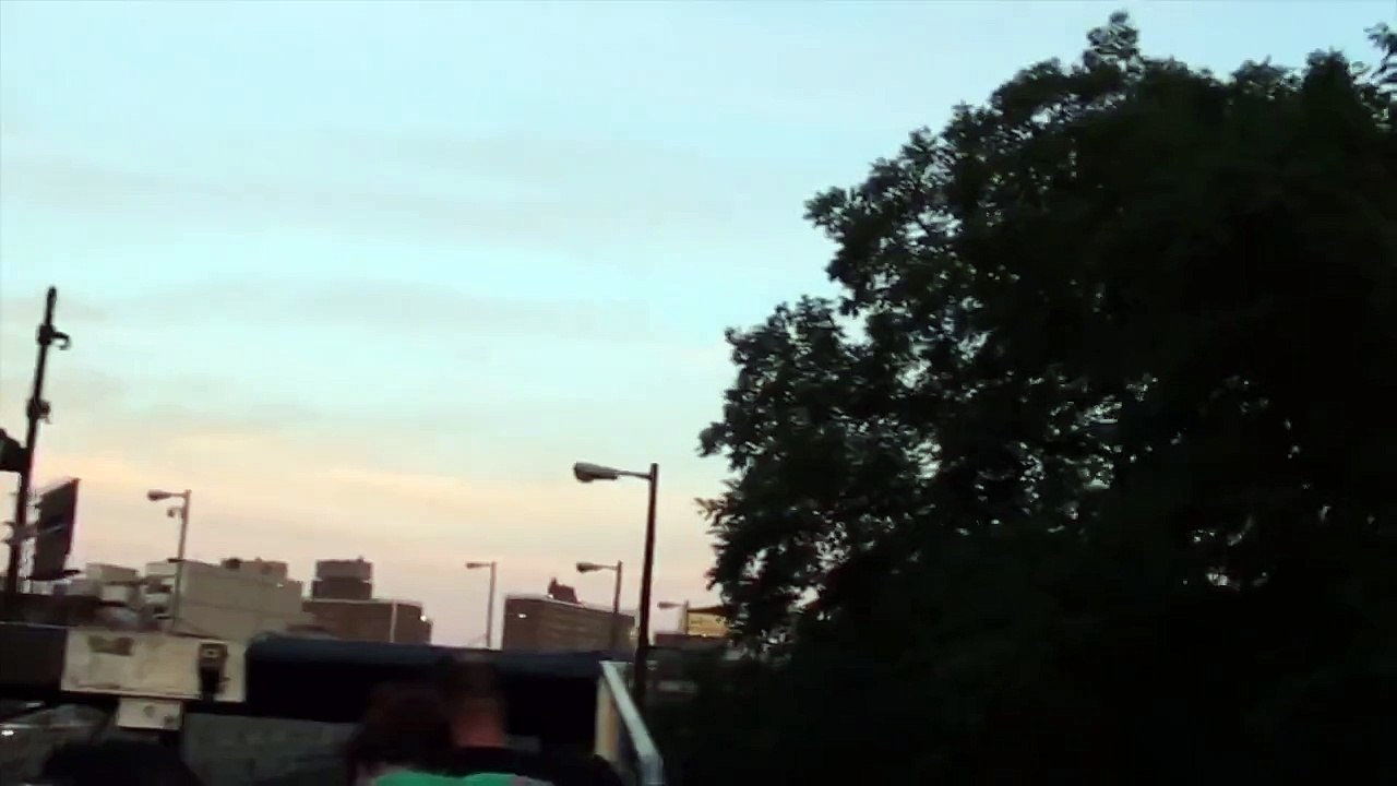 Strange behavior of birds (New York)