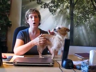 Alimentation que je suggère pour votre compagnon animal