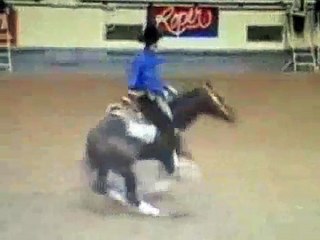 Polo: my horse, my lover, my champion...