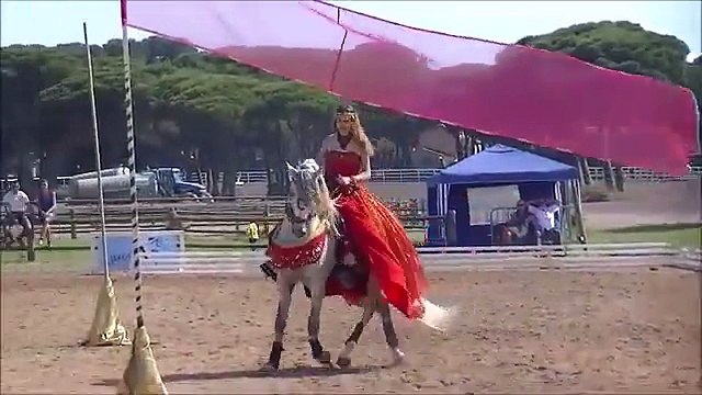 Spectacle Equestre : *Rouge Mécanique Mélodie*