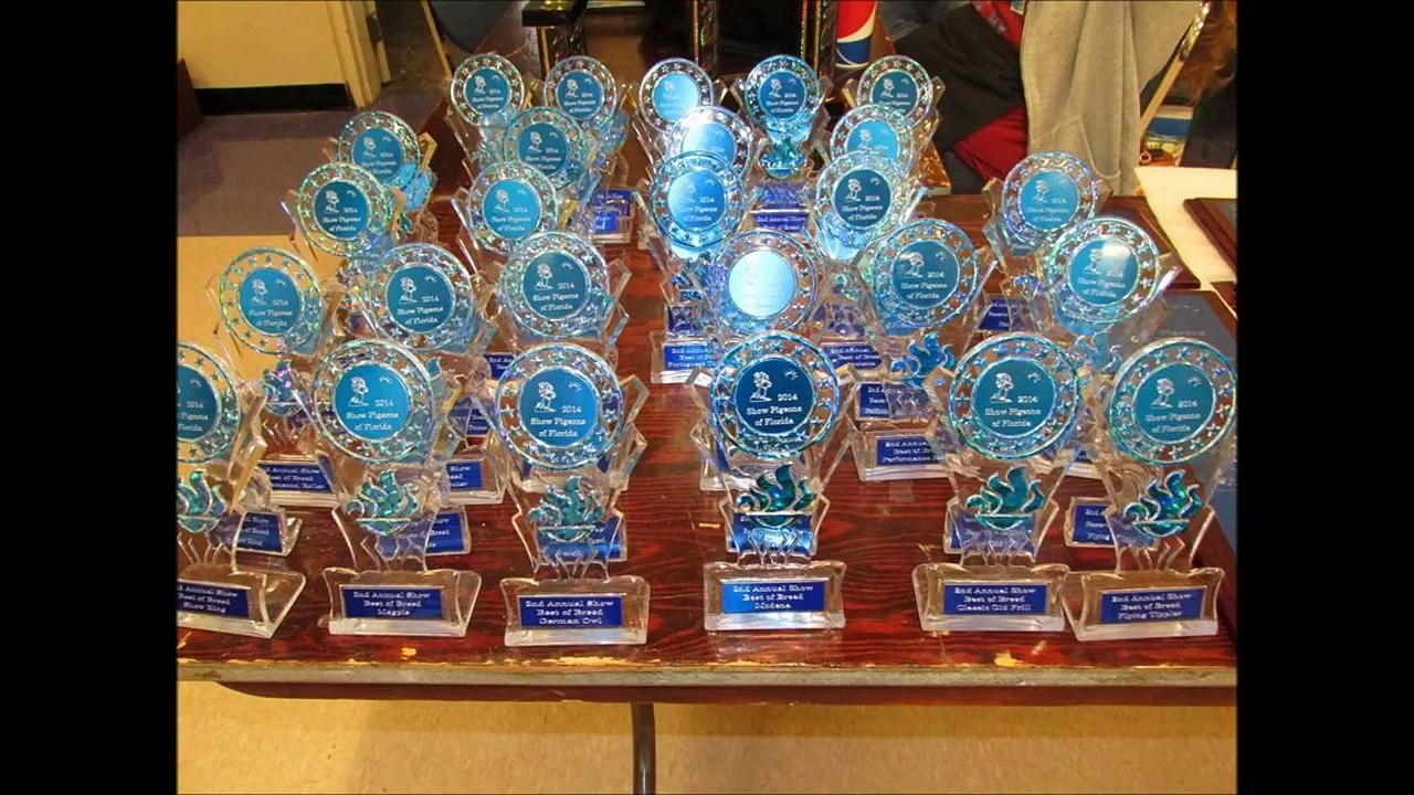 Fantezi Güvercin ırkları / Fancy Pigeon breeds