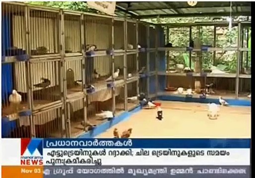 Fantezi belgesel kerala Güvercin yetiştirme / Documentary on Fancy Pigeon rearing in kerala