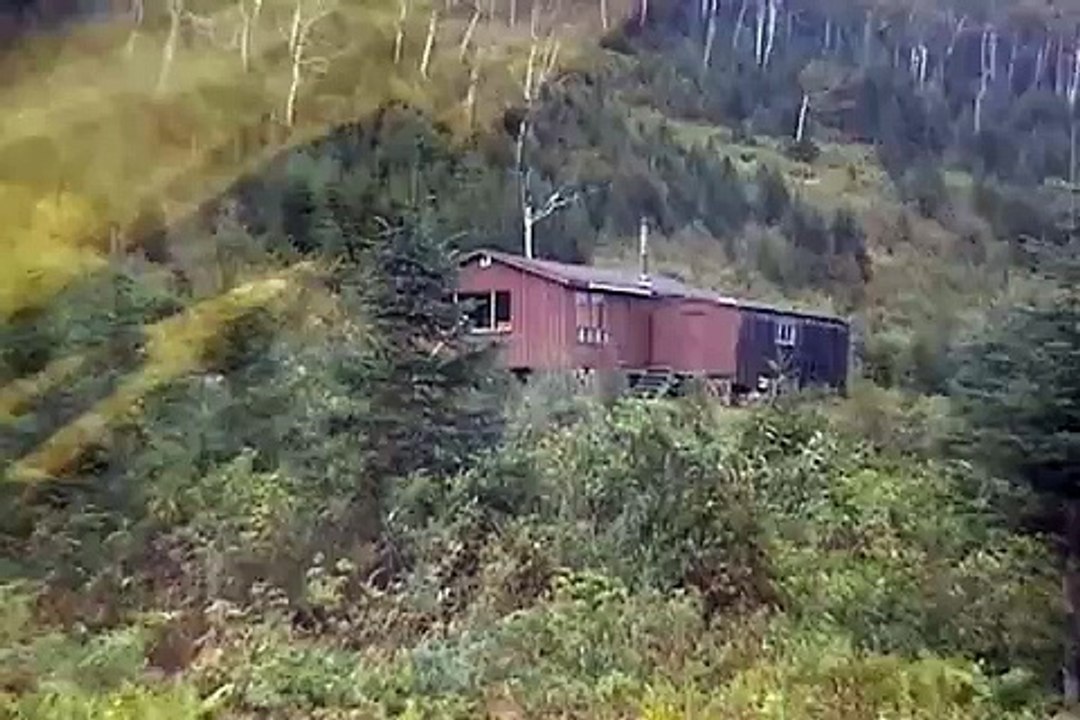 chasse a l'orignal a matane