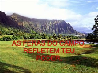 as aves do ceu cantam para ti, as feras do campo refletem teu poder...