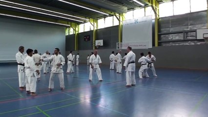 宇城憲治　ＵＫ実践塾　【2015年6月 宇城空手 ドイツ武術セミナー】