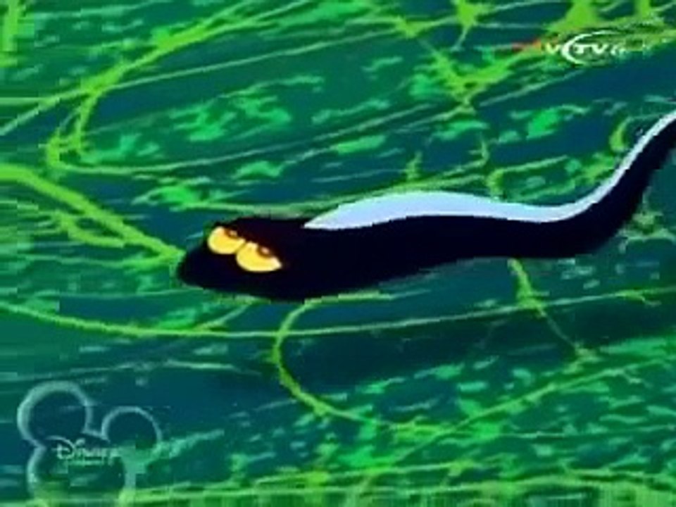 Zig & Sharko Bamboozled
