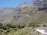 Global Warming / Calentamiento Global: Los Andes (3)