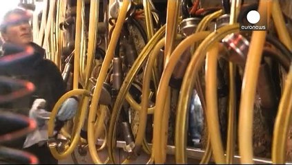 Руйнівний екологічний слід: людство вичерпало річні ресурси Землі 13 серпня