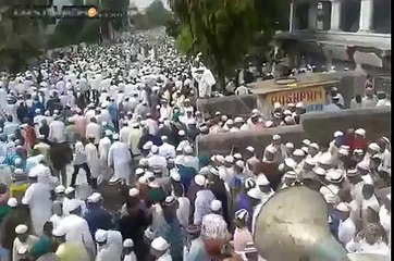 Une vache fonce sur la foule