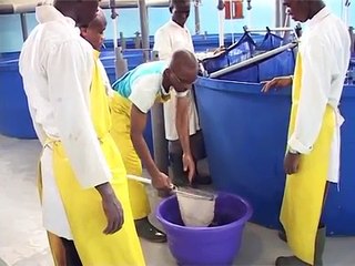 HYDROFISH Bingerville Côte d'Ivoire