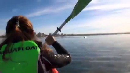 Kayak levantado por ballena en Puerto Madryn, Patagonia Argentina!