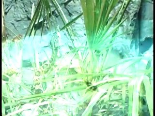 Välkommen till Universeum, Göteborg