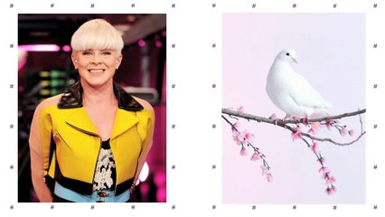 Elliphant Gives Tove Lo, Icona Pop & More Animal Nicknames