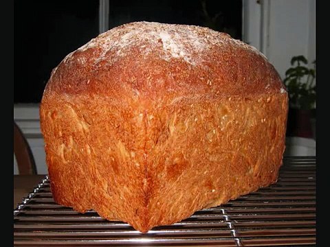 Protestant Catholics