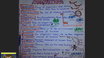 animal adaptations worksheets 5th grade