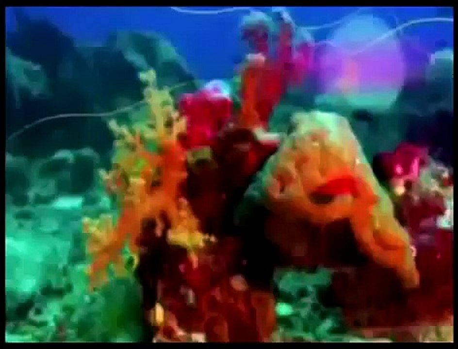Zig & Sharko Cartoon Episode 29 30