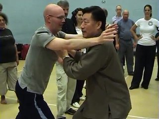 Tai Chi Fajin 發勁Qinna 擒拿power Demos Part 2