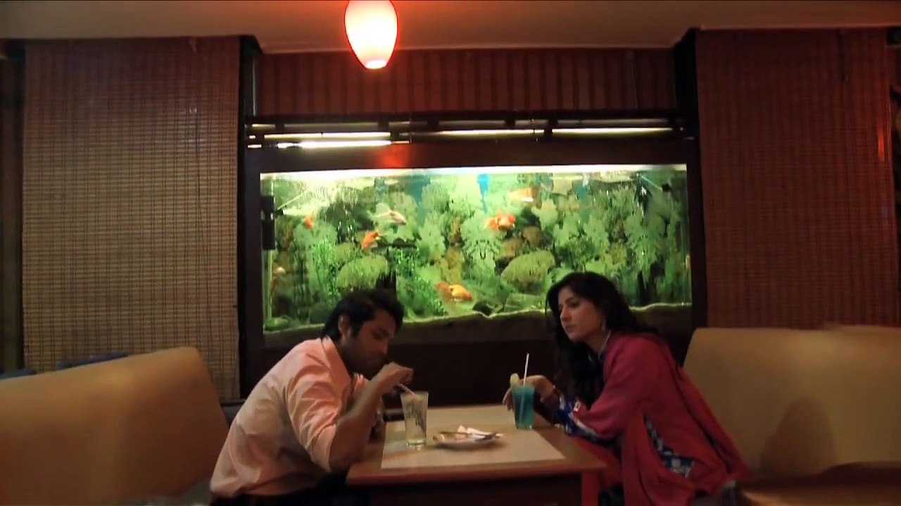 Zindagi Dhoop Tum Ghana Saya OST HQ