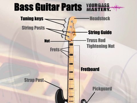 Bass Guitar Lessons For Beginners Tip #3 Learning the Parts of Your Bass