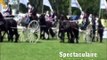 28 mei 2011 - 20e Dag van het Aangespannen Paard met Kortebaandraverij