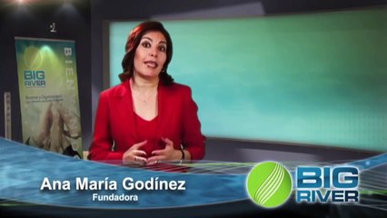 Cursos de PLANEACION ESTRATEGICA y Definicion Estratégica: 01 La Estrategia