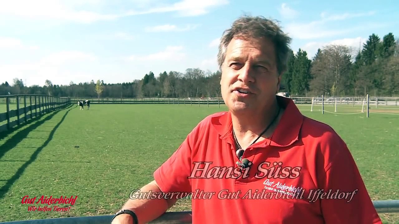 Ankunft von Kälbchen Moni