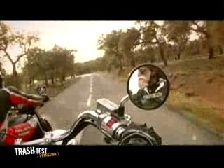 Night rod special -VS-  VTX - Trash test