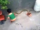 Crazy stupid person ( the one who taking video )coz why he or she let the kid play the snake