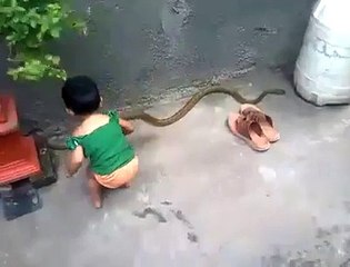Crazy stupid person ( the one who taking video )coz why he or she let the kid play the snake